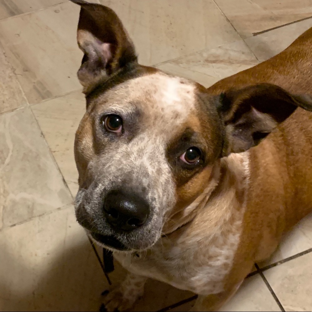 Meet your Posher, Alexcia